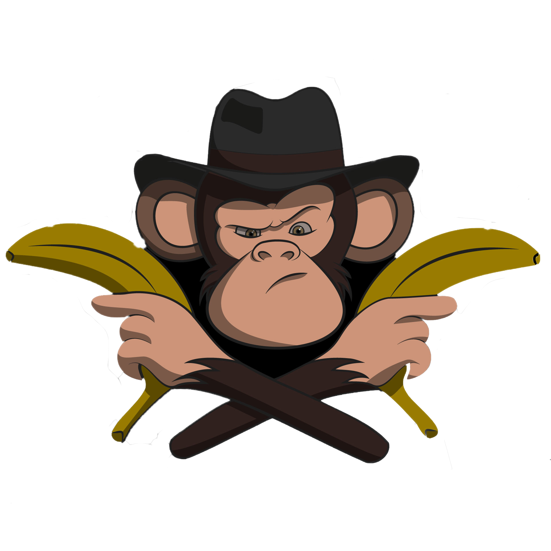 Monkey Outlaw Studios